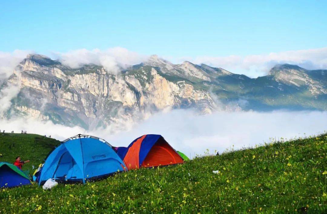 还有雪山花海的绝妙组合 | 最全川西花季时间表