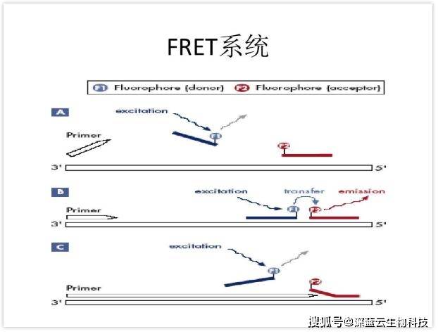 實時熒光定量pcr檢測方法你選對了嗎