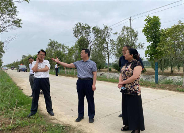 太和县县委书记杨波同志视察国泰谌世在建的香椿产业示范基地