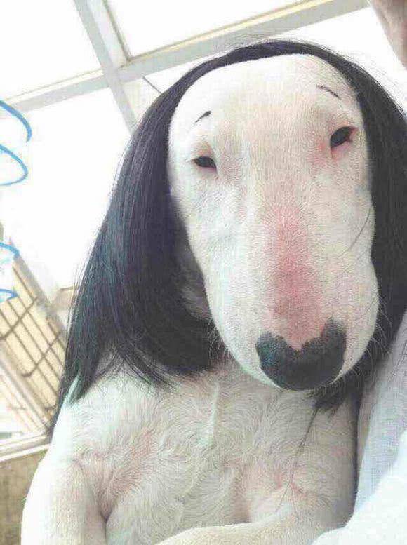 赵本山:我是帅哥终结者;林永健:嘛玩意?谁又和我撞脸啦