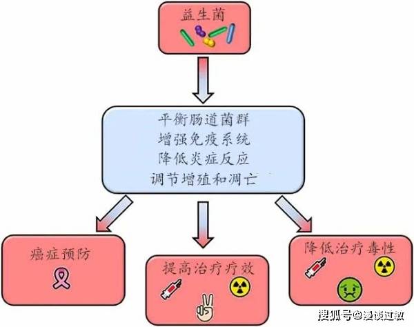 益生菌不是调理肠道的吗?可防治癌症?益生菌在癌症预防和治疗中的价值