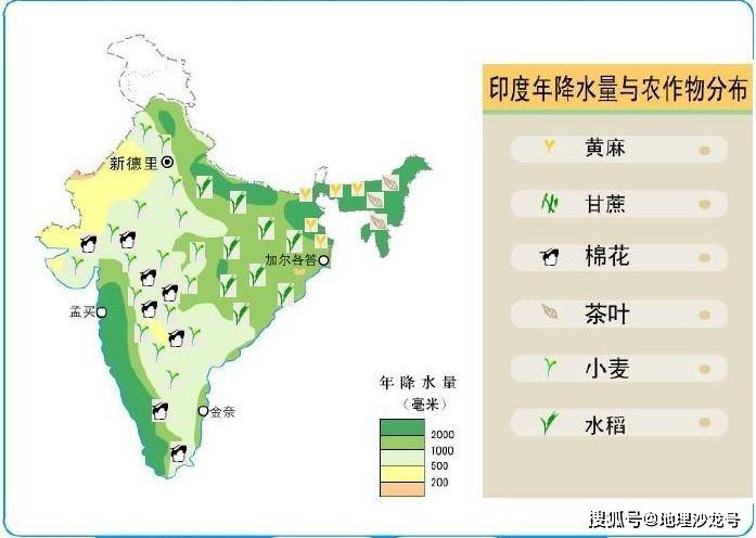 印度农作物分布图实际上印度虽然国土面积与我国相去甚远,但是印度