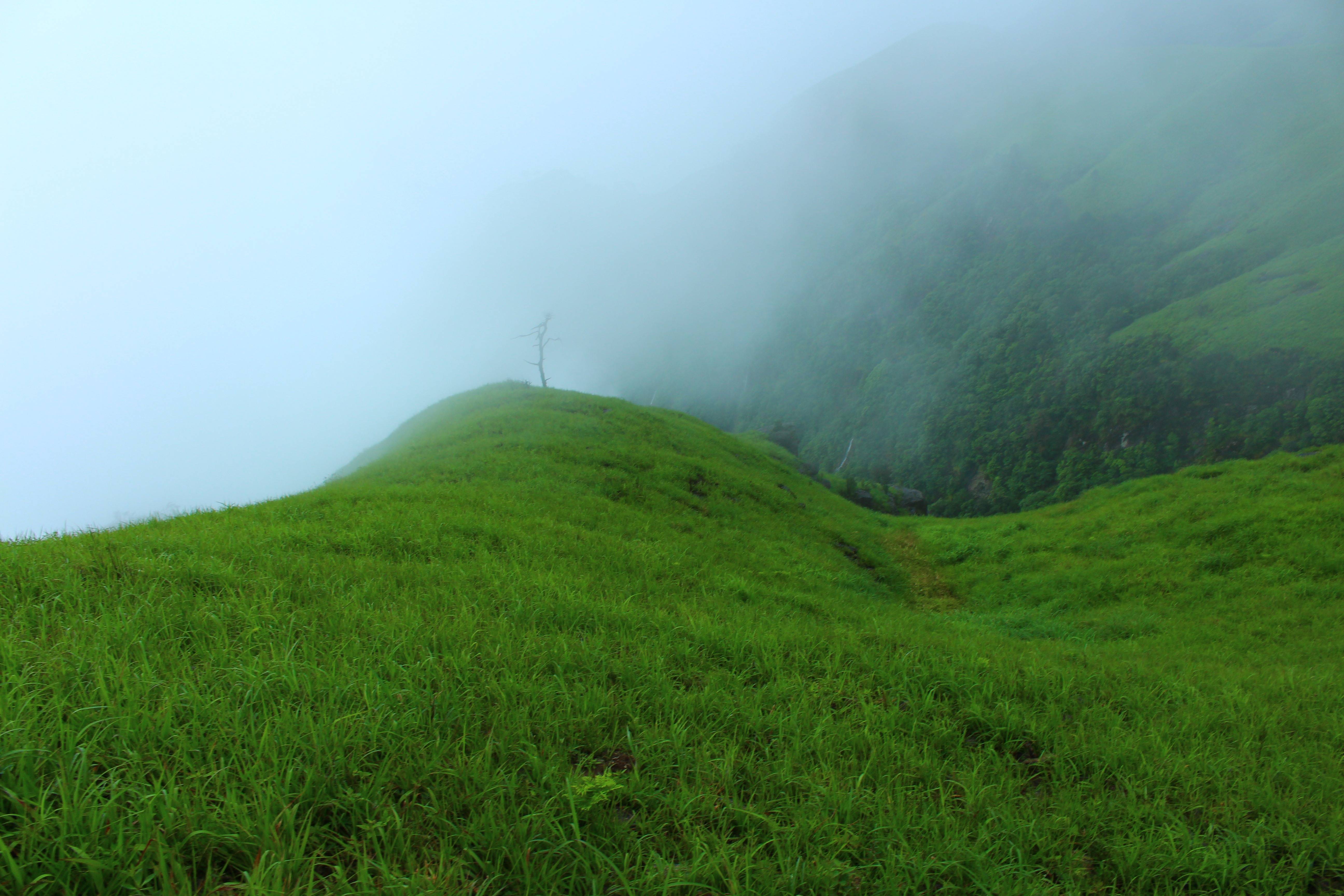 江西萍鄉武功山風光 高山草甸