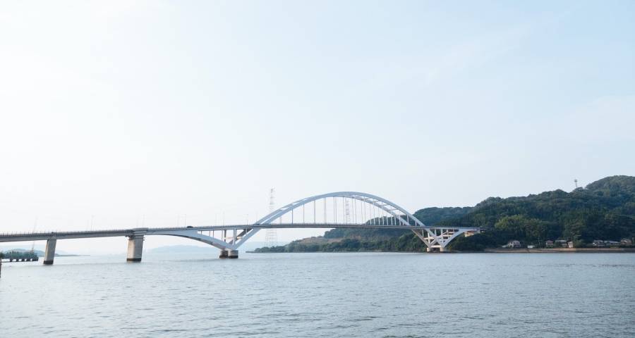 家电海外市场渐复苏,618大促美的夺冠格力吸睛TCL猛发力-家电圈官网