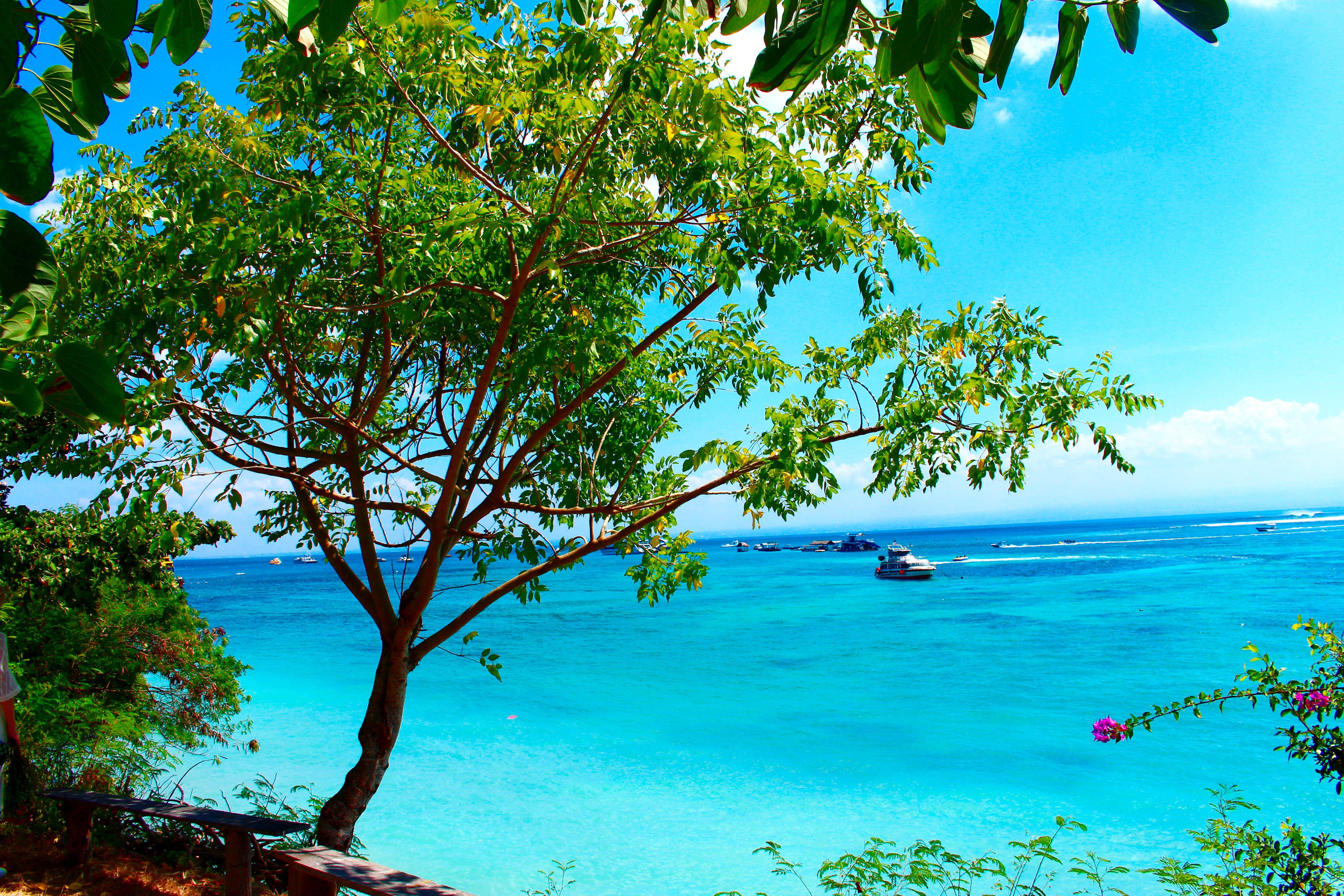 巴厘岛的景色相片图片