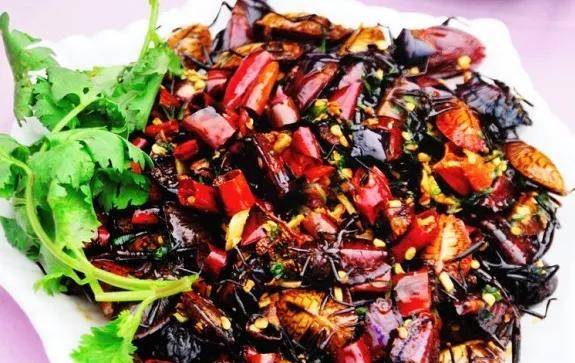 (我怕到了夏天,知了跟我要孩子) 臭屁虫,学名叫蝽象,"臭屁虫"一经炒熟