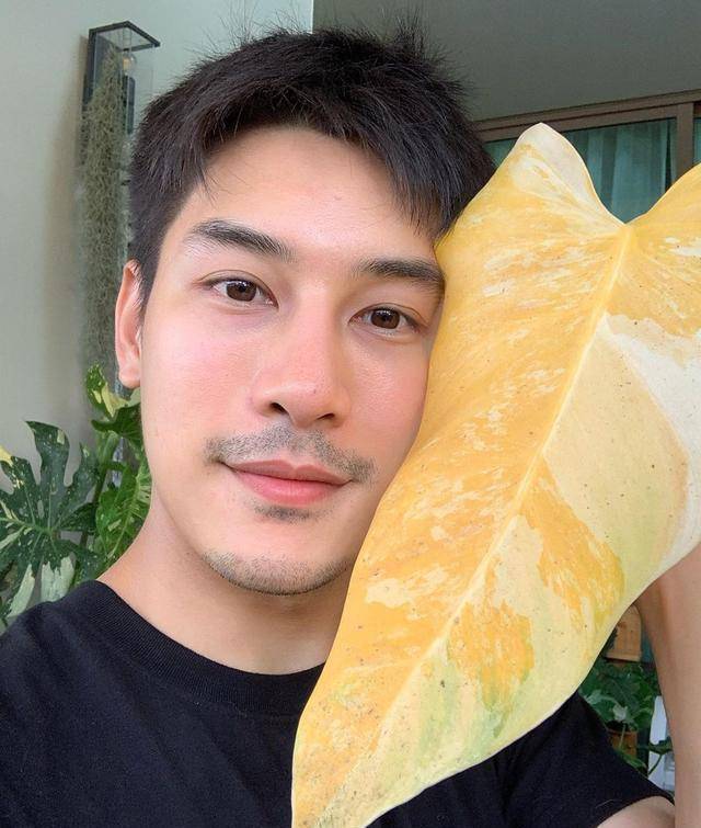 原创厉害了,泰星bow签约3台,新剧有望搭档nadech,kenp成为自由艺人