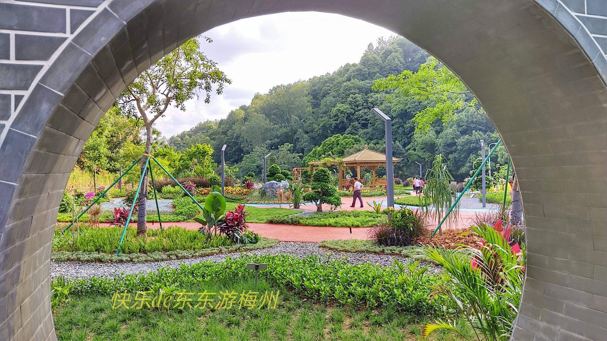 梅州森林生态科普园以绿色观赏植物为主,同时栽种了黄色,紫色,红色等