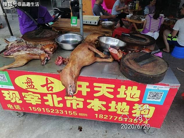 桂林狗肉节图片