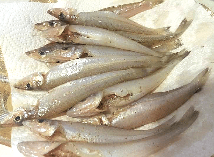 煎鱼时,只要记住两点,不管是啥锅,鱼不粘锅,不破皮,又酥又香