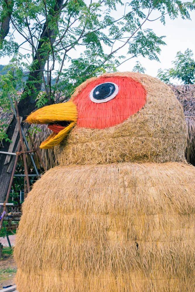 福建罕见海沧百亩草垛主题乐园出门就是森林