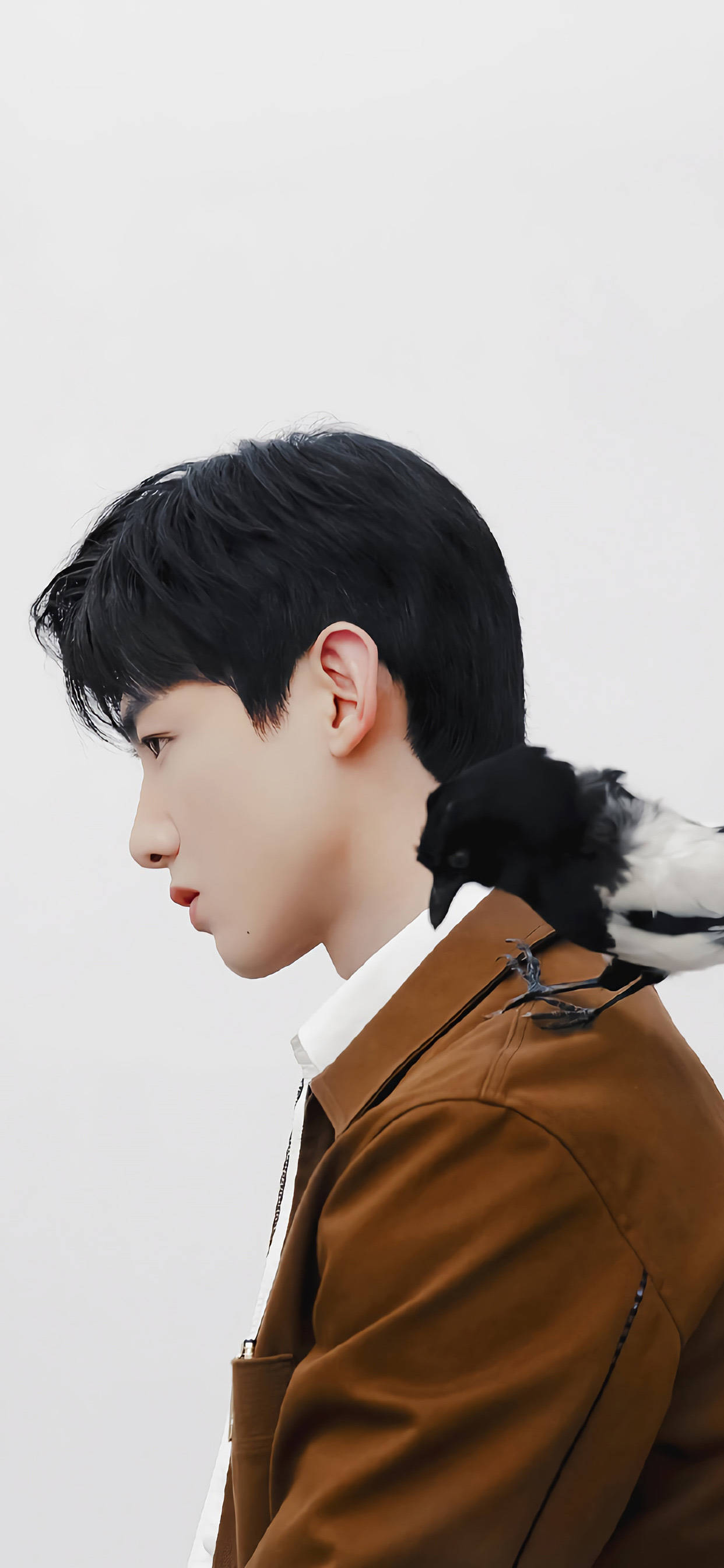 今日手机壁纸请查收