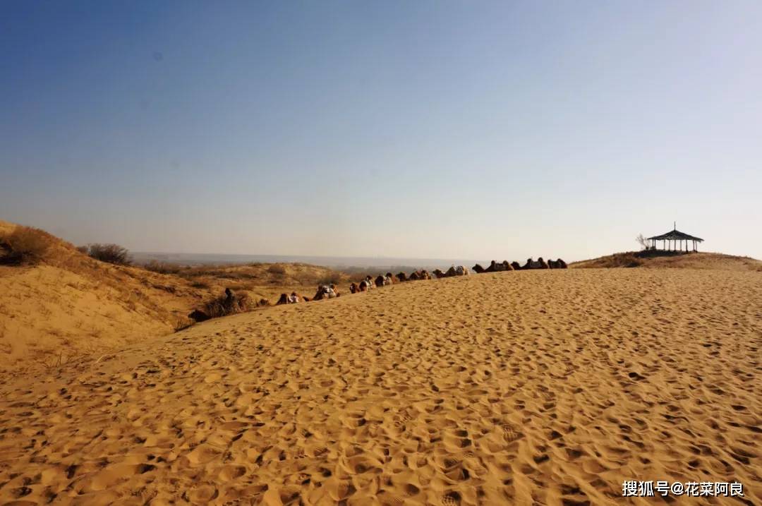 烈日映在黄沙上,如熔金般炫目,触目处一望无际的沙漠