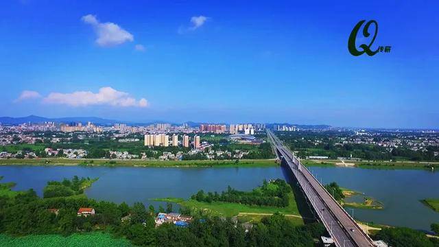 湖北蕲春县县长端午说艾:艾在蕲春,欢迎您来!