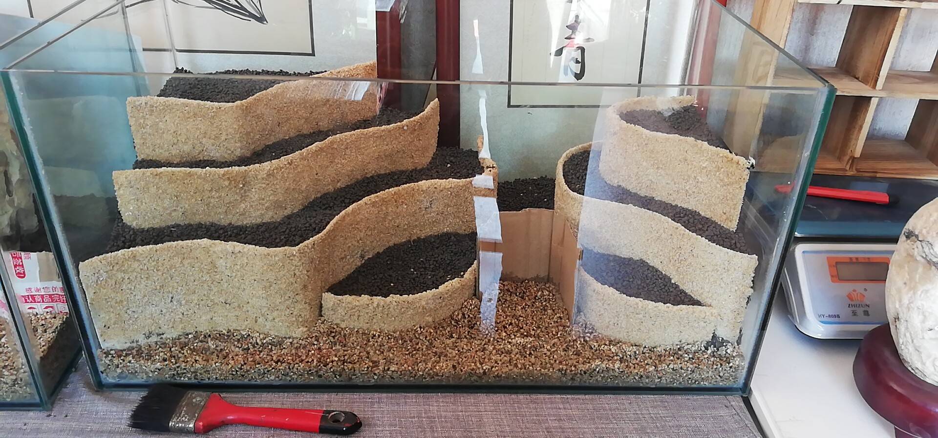 90标准缸梯田草缸造景开缸过程