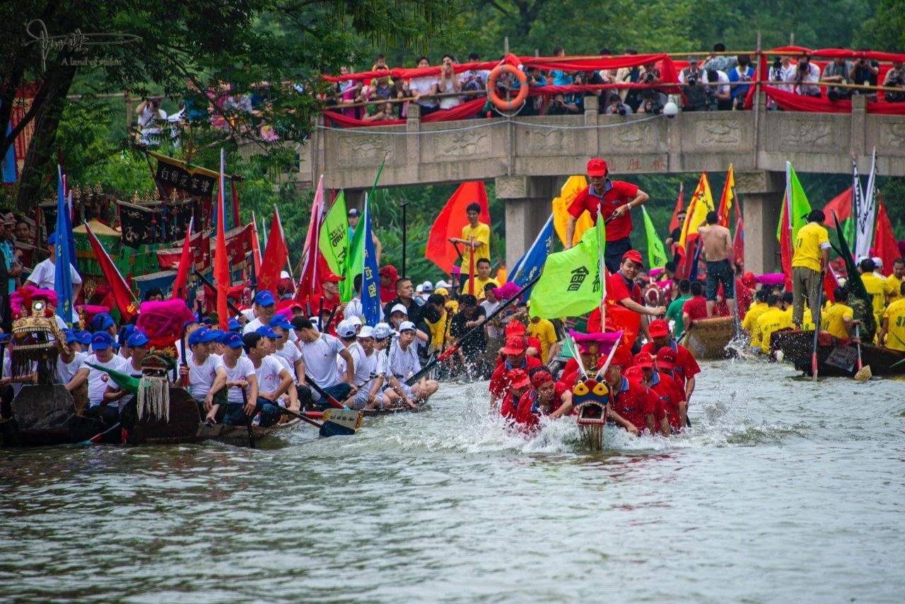 原创杭州西溪湿地每年举办的龙舟胜会,其实是国家级非物质文化遗产