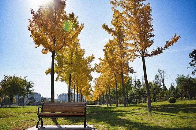 潍坊医学院浮烟山图片