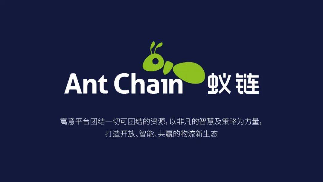 蚁链品牌全案展示