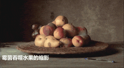 发霉的水果发霉的面包就拿霉菌来说,您可能不知道是哪一种,但您一定