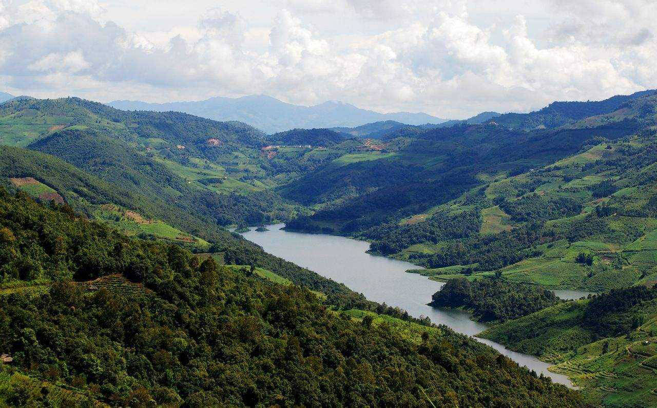 勐海风韵珍藏之味