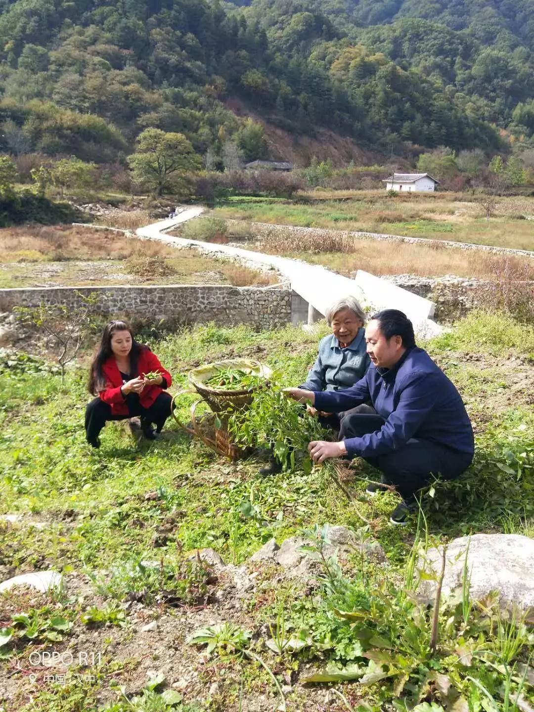 于是佛坪县的贫困户们就有了实现登陆电商平台的网络渠道