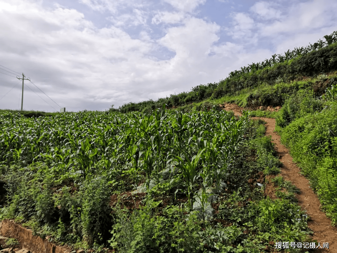 人间有爱:凌晨三点出发,我们来四川大凉山了