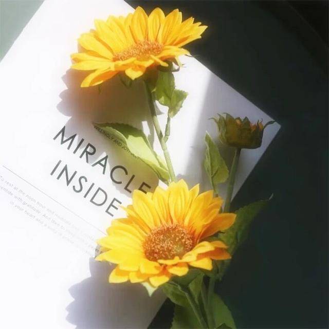 原创温柔治愈的心动小句