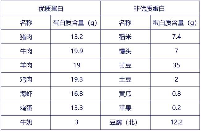 每100g食物中蛋白质含量