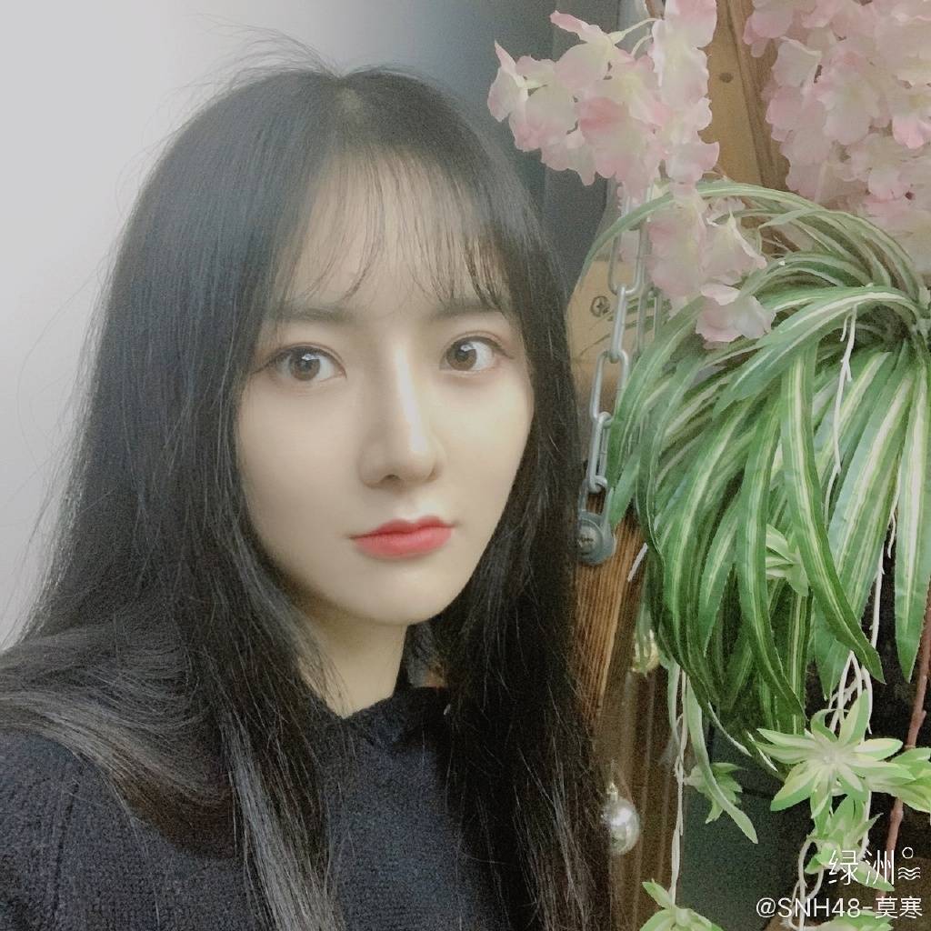 女团snh48-莫寒 的图集_手机搜狐网