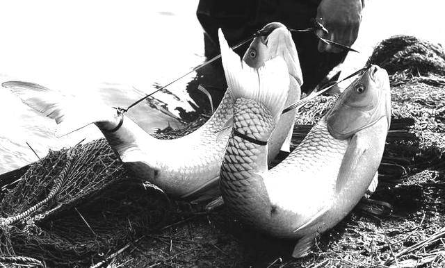 原创西周古国——弓鱼国,地底下隐藏了三千年,出身来历成谜