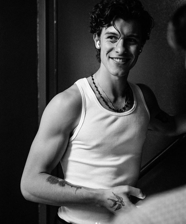 誉为国民男友,更是音乐才子,shawn mendes尚恩曼德斯可以说是才貌双全