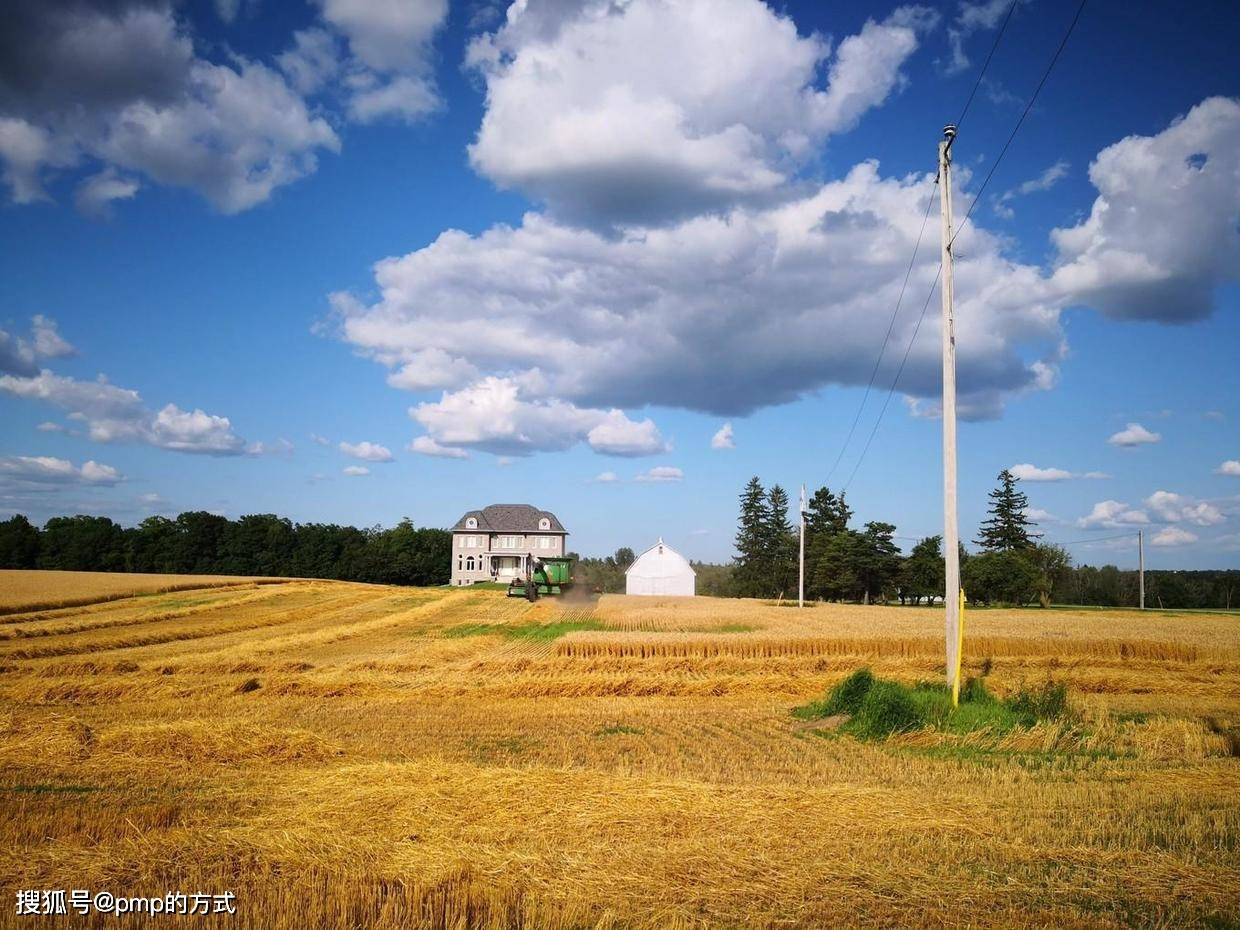 加拿大印象:麦收季节_农业