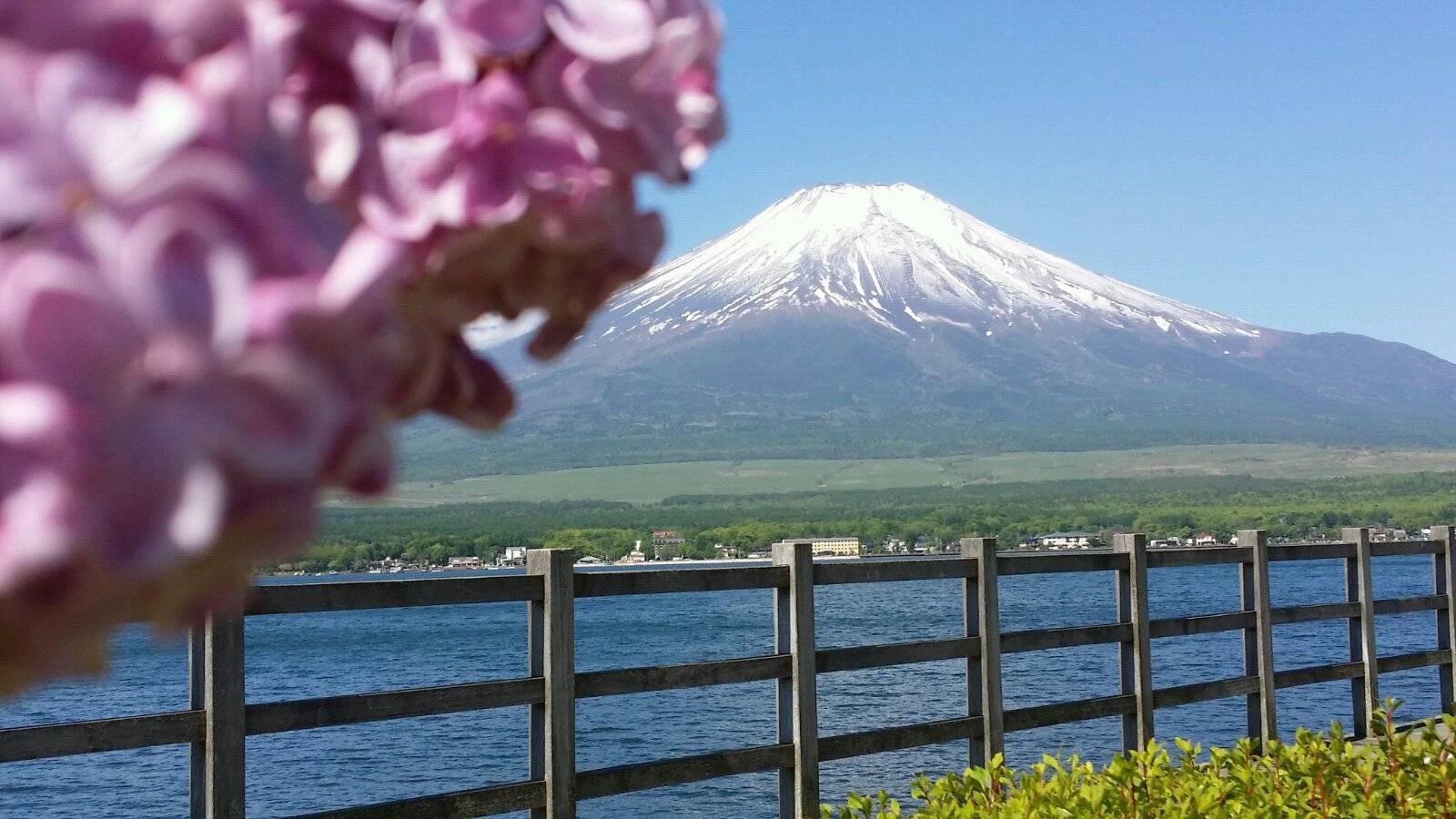 富士山下其实是一首让人感到心寒的歌你知道背后的故事吗