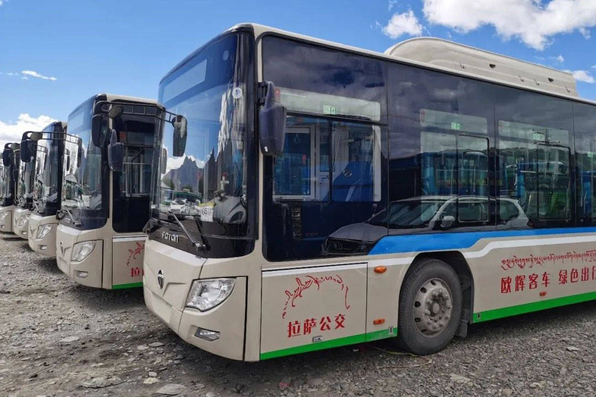 福田欧辉24台混动客车交付拉萨公交 成为拉萨首批国六客车