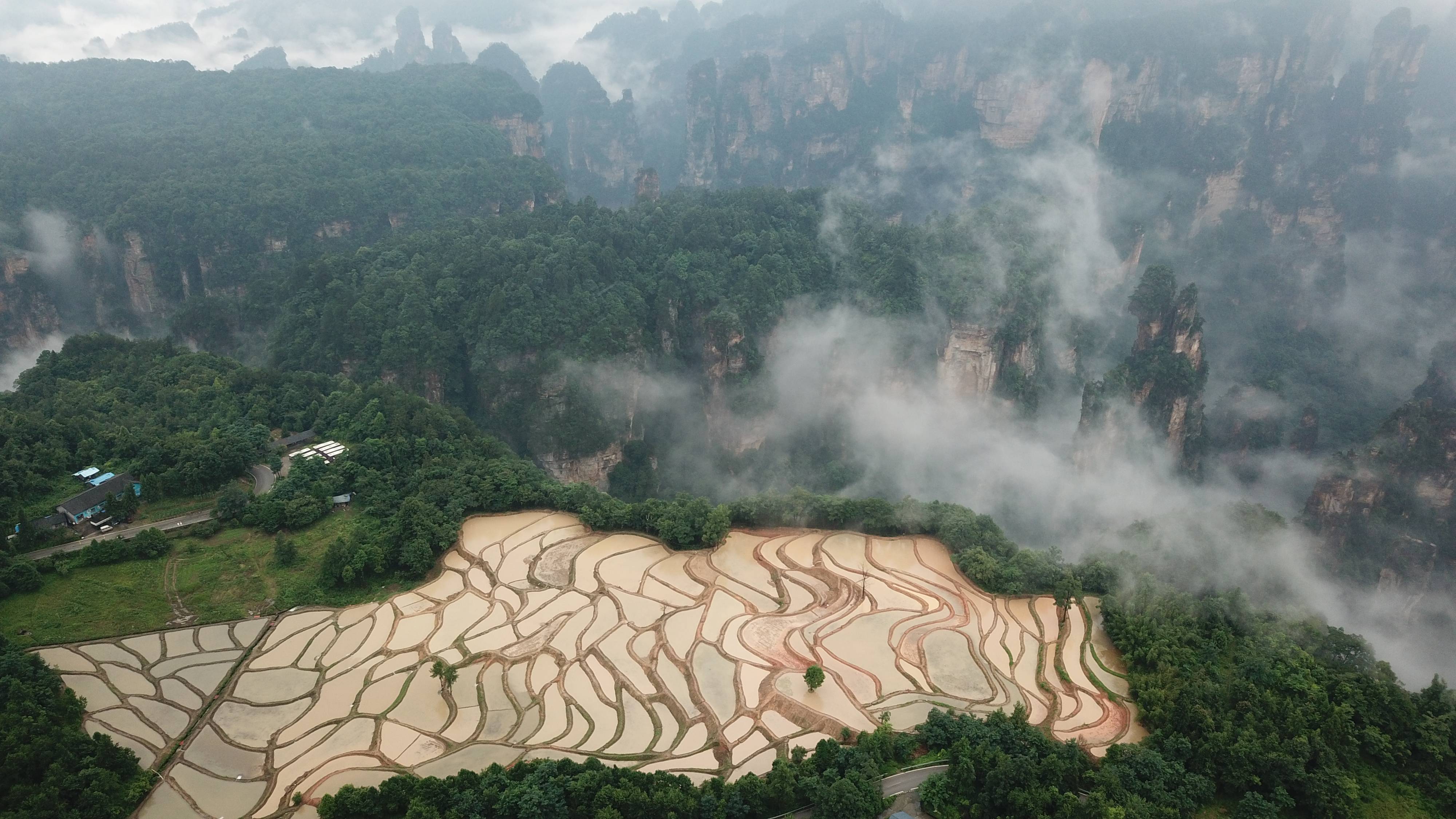 武陵源袁家界:雨中云雾翻飞 空中田园壮美