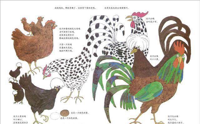 它们会让孩子的心柔软下来——读绘本《我们的动物朋友
