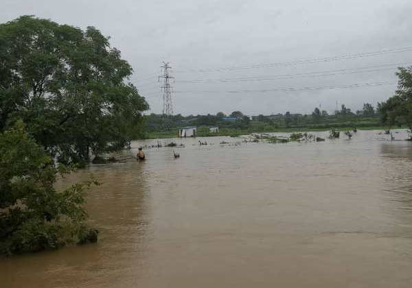 7月7日下午17时,两少年被困浠水县巴河镇赵坳村水港中 拍摄 刘俊