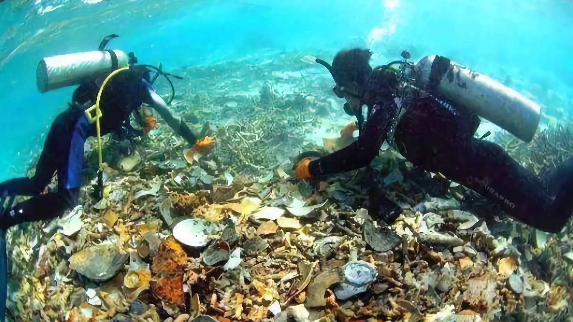 那么,为什么黑海中的那些沉入海底的船只不会腐烂呢?