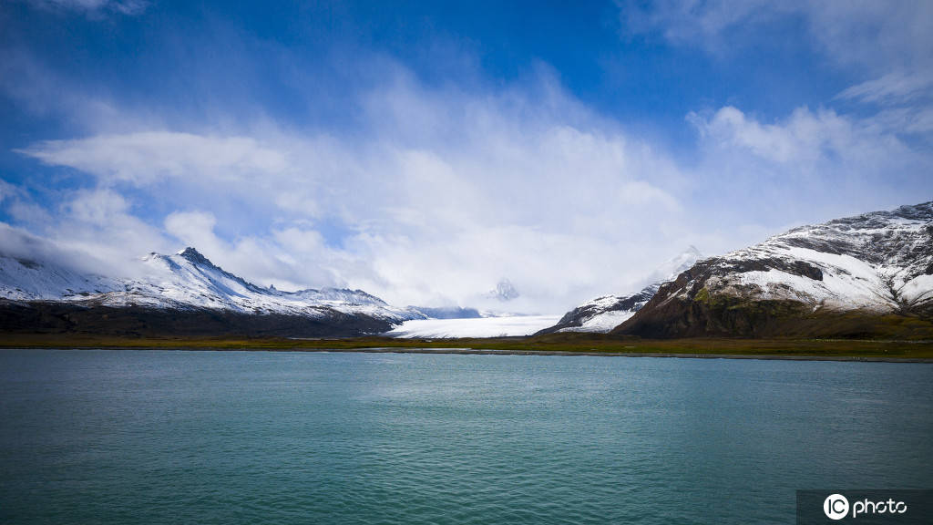 南乔治亚群岛旖旎风光南极野生动物的天堂