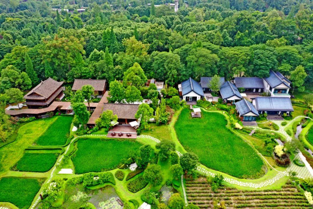 市"西控"工作推进会考察依田桃源,"依田文商"成亮点!