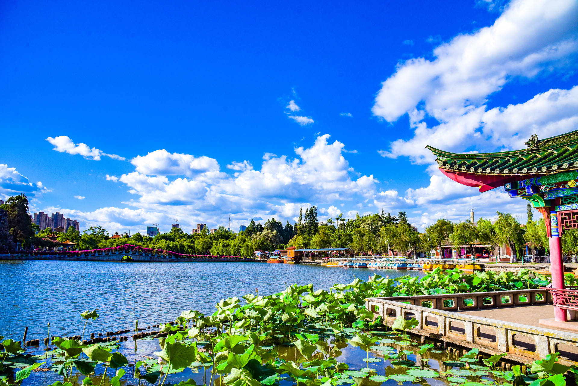 昆明将被"海归族"占领!_滇池