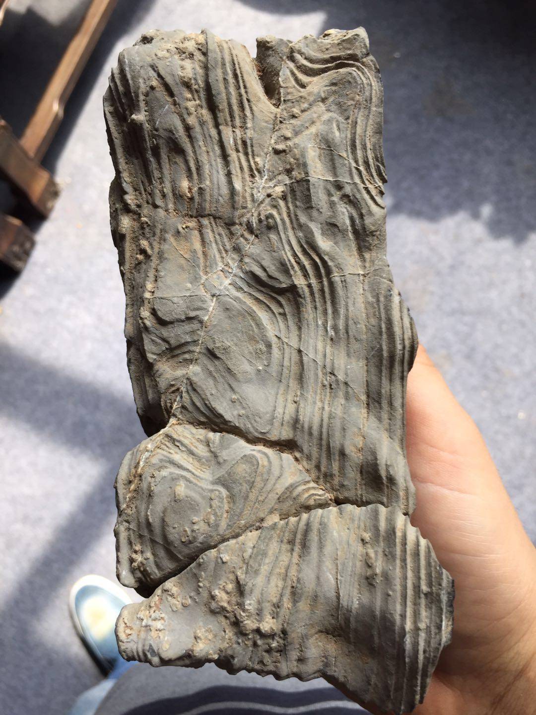 张振赏石散文《灵璧纹石与徽州老墙千里情缘 》