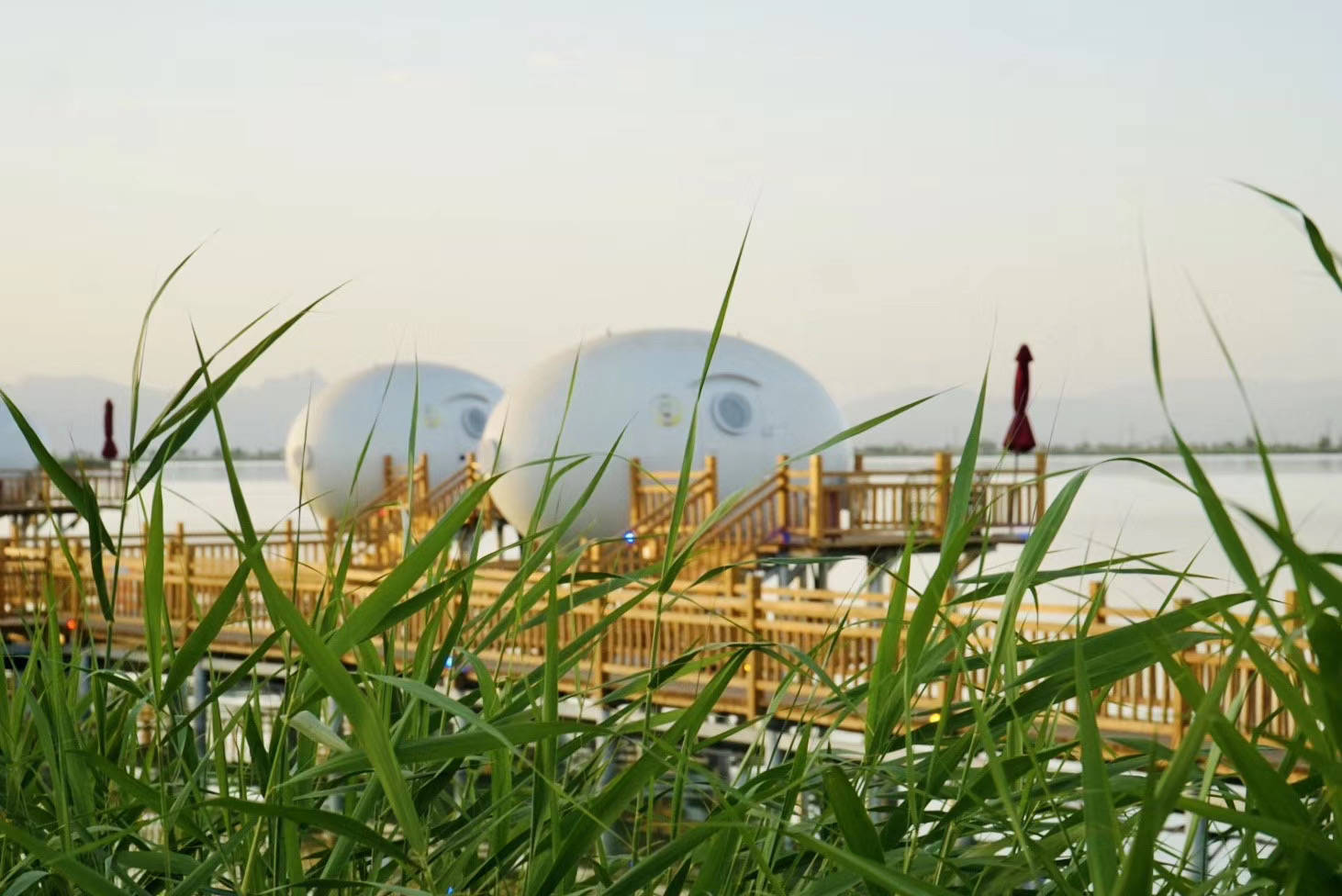 蛋蛋屋坐落在沙湖娱乐核心区醉美岛屿上,四面环水,绿树掩映,百鸟围伴.