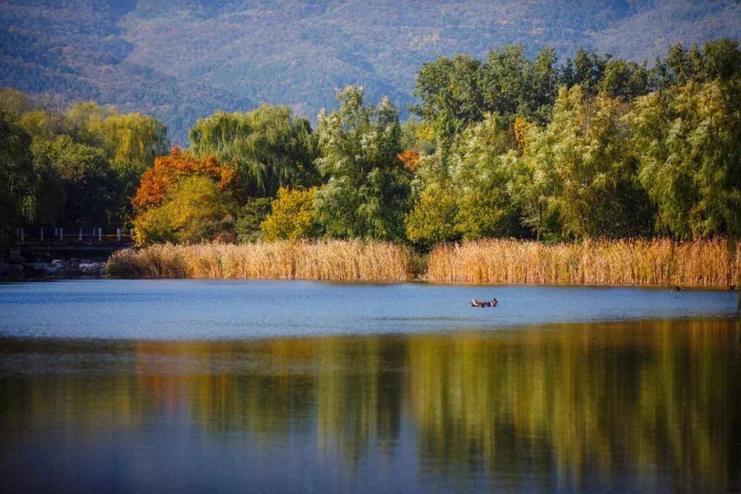 洛阳启明堂--胃