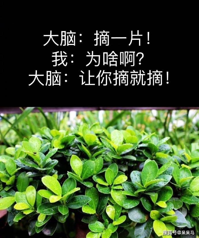 08练翘臀独家秘方三角形是最稳定的09最大的包容:能接受录音里自己的