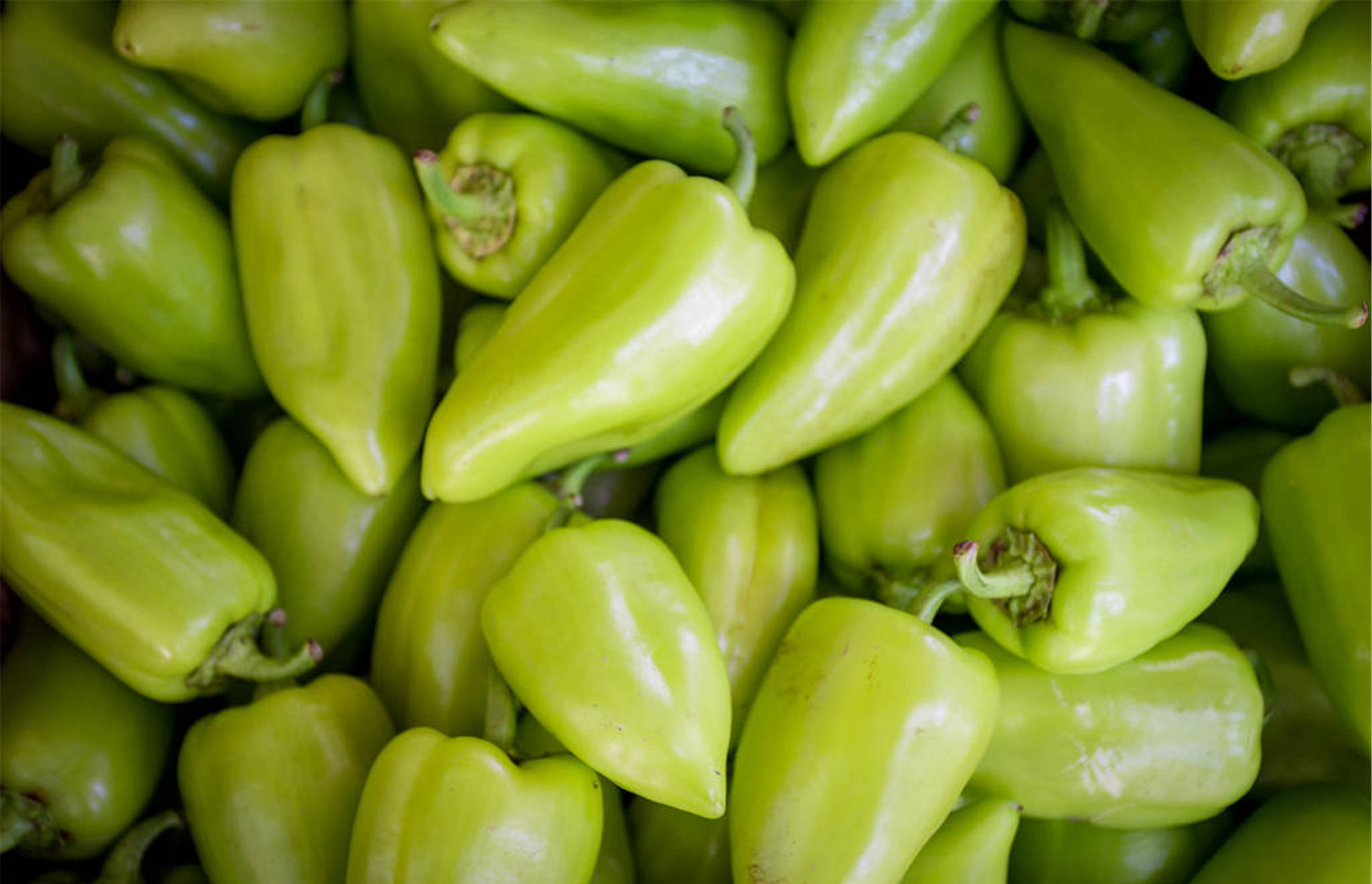 青椒水肥有哪些管理方法?出现褐斑病该怎么办?如何防治?_工作