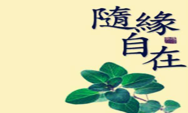 往事随风,一切随缘!