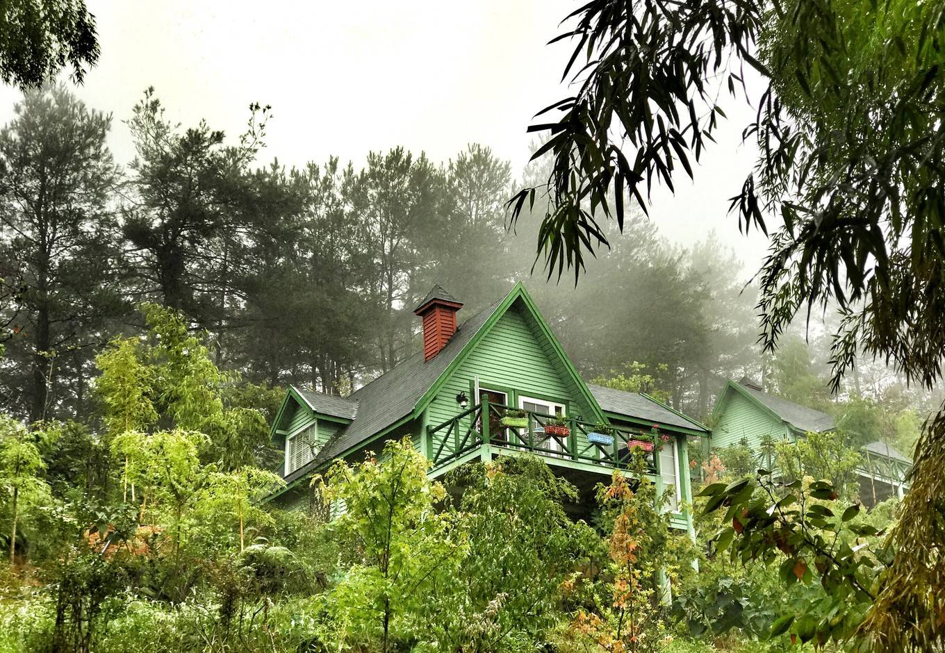 隐藏在山里的城堡民宿周边绿植茂盛就像是住在森林氧吧一样