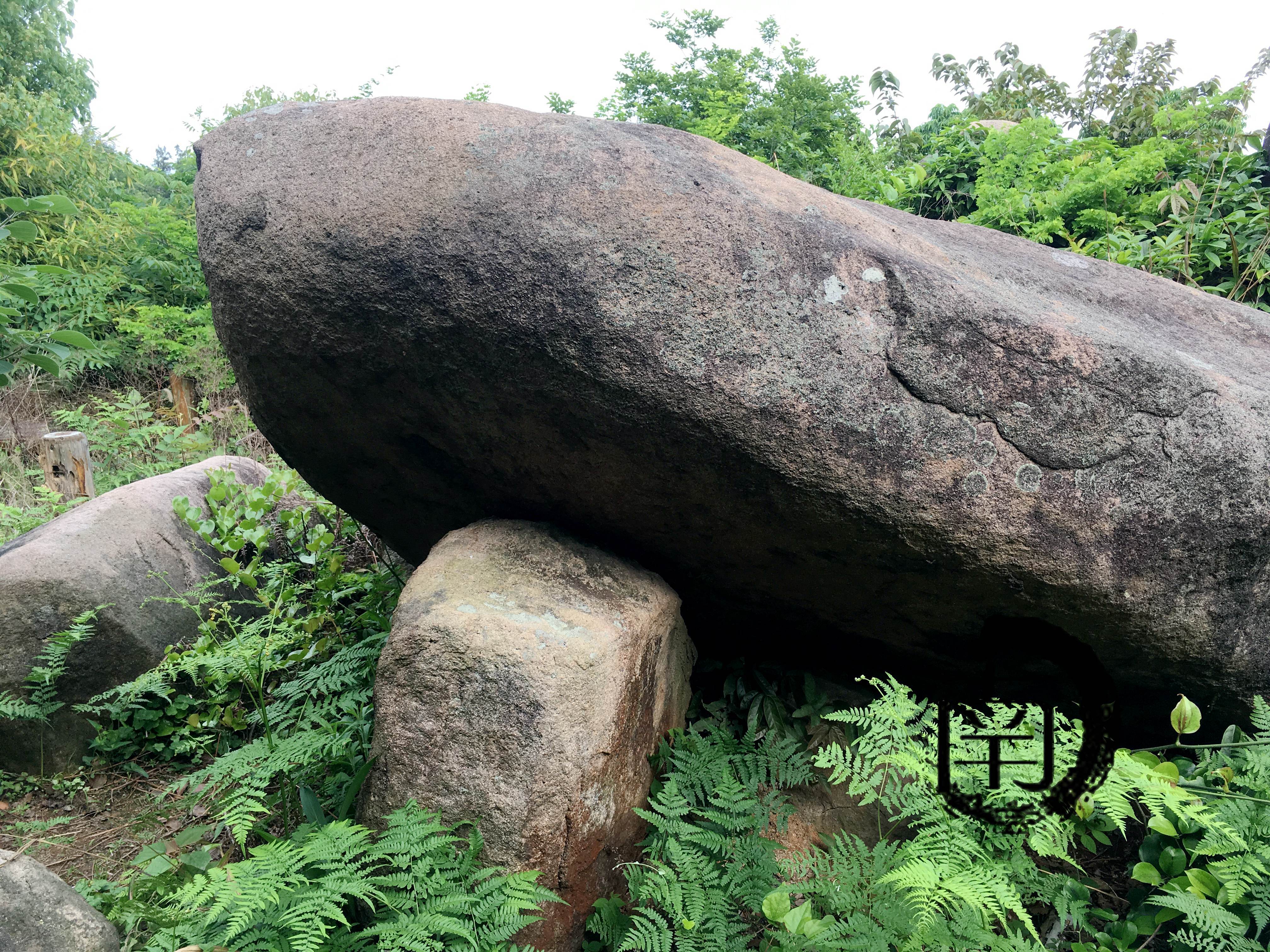 浙平阳浙南石棚墓群龙山头石棚墓