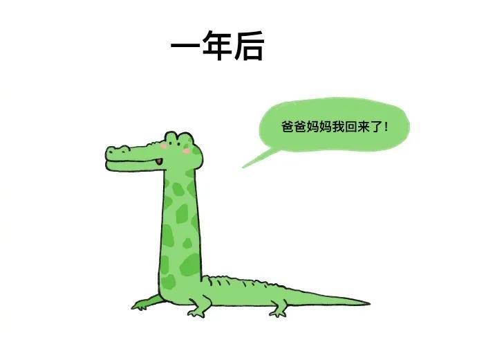 图片[14] - 【xizi被窝段子20200713】上了生活的贼船，就做快乐的海盗 - xizi